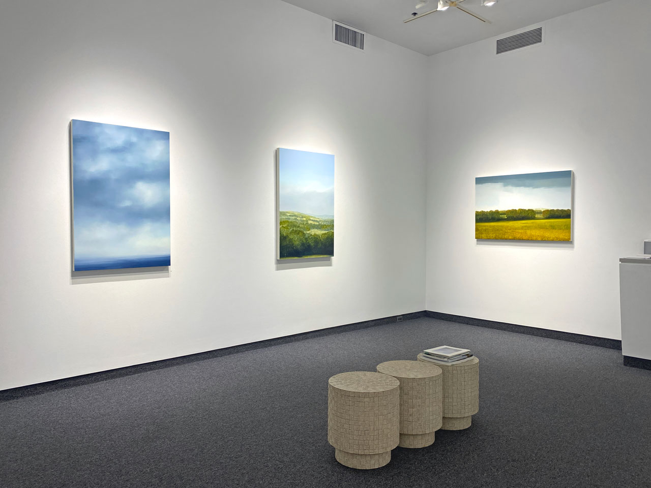 Gallery NAGA Art Display