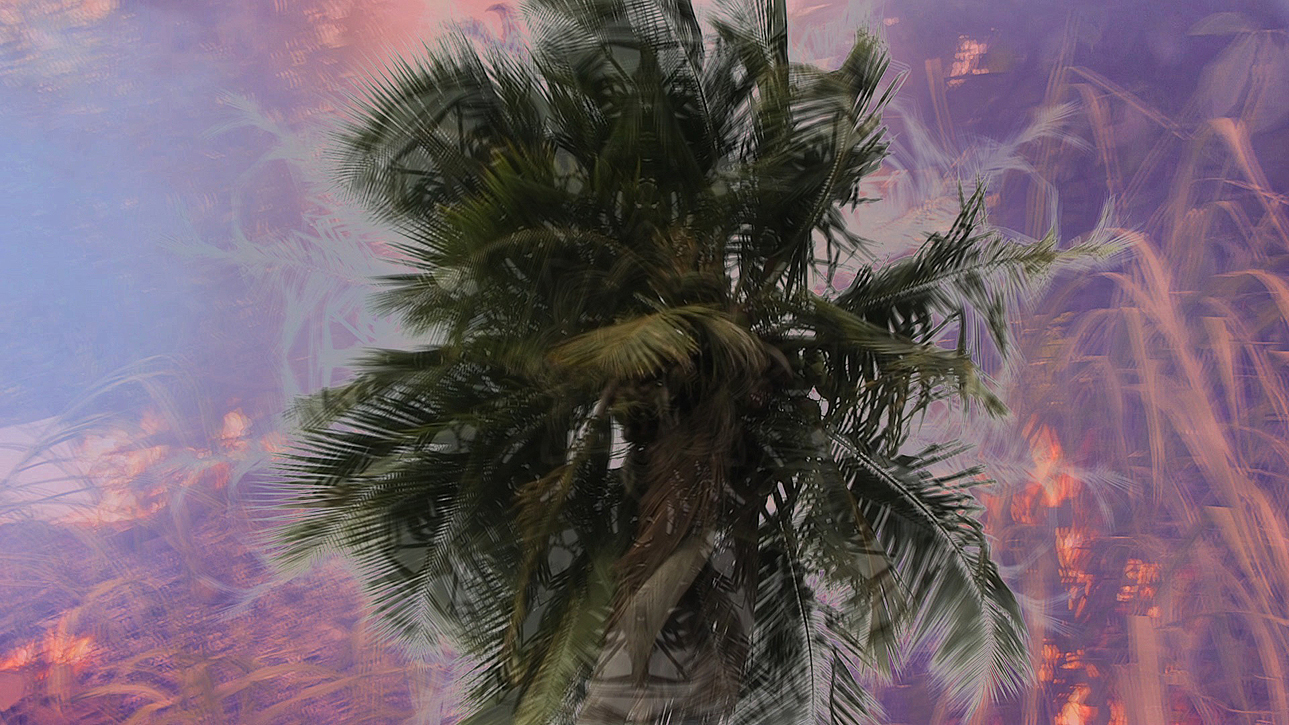 Piece by Lana Z Caplan