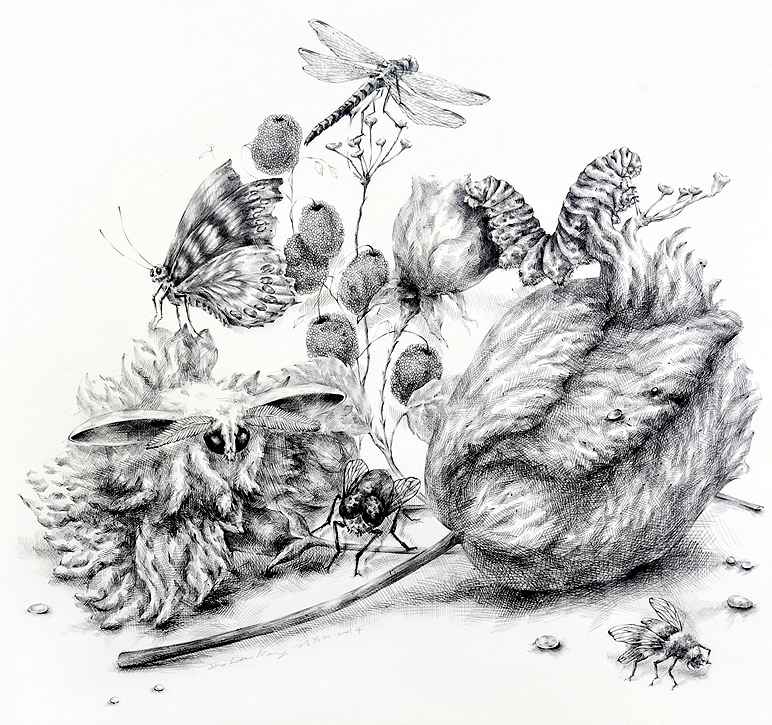 Drawing by Joo Lee Kang