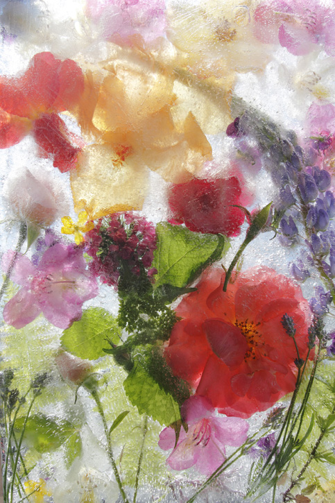 Photograph by Mary Kocol