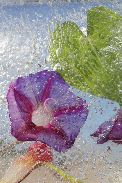 Photograph by Mary Kocol