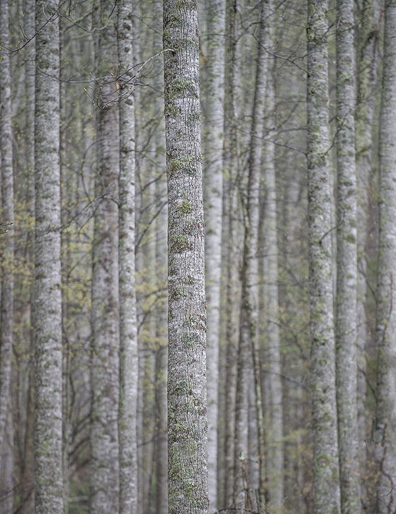 Photograph by Peter Vanderwarker