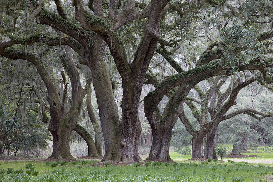 Photographs by Peter Vanderwarker