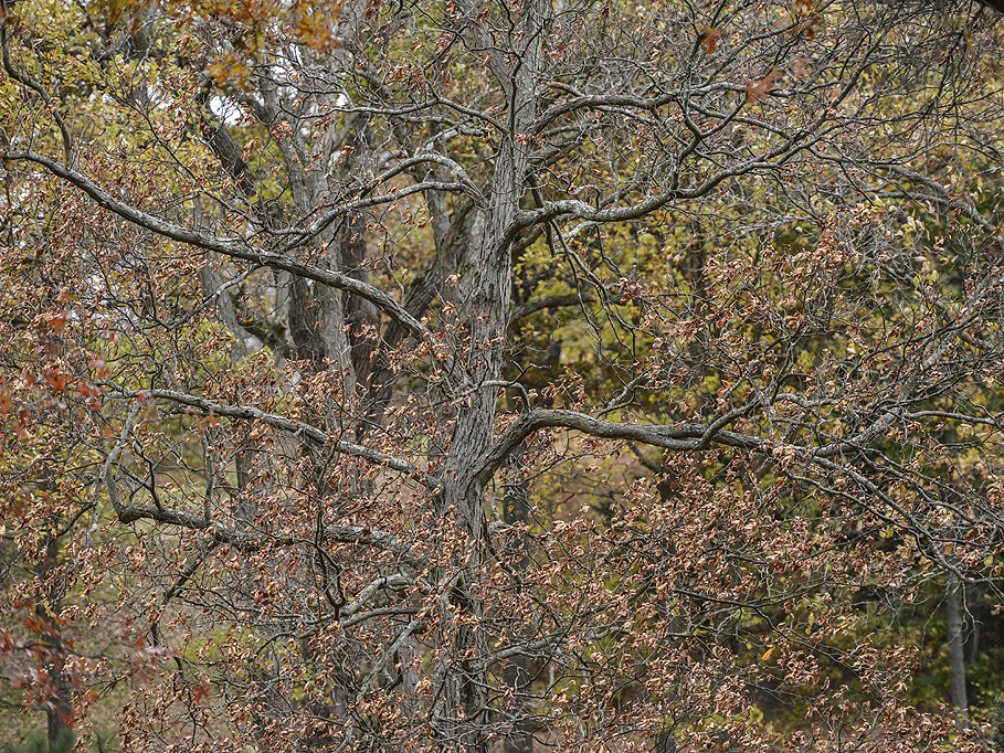 Photographs by Peter Vanderwarker