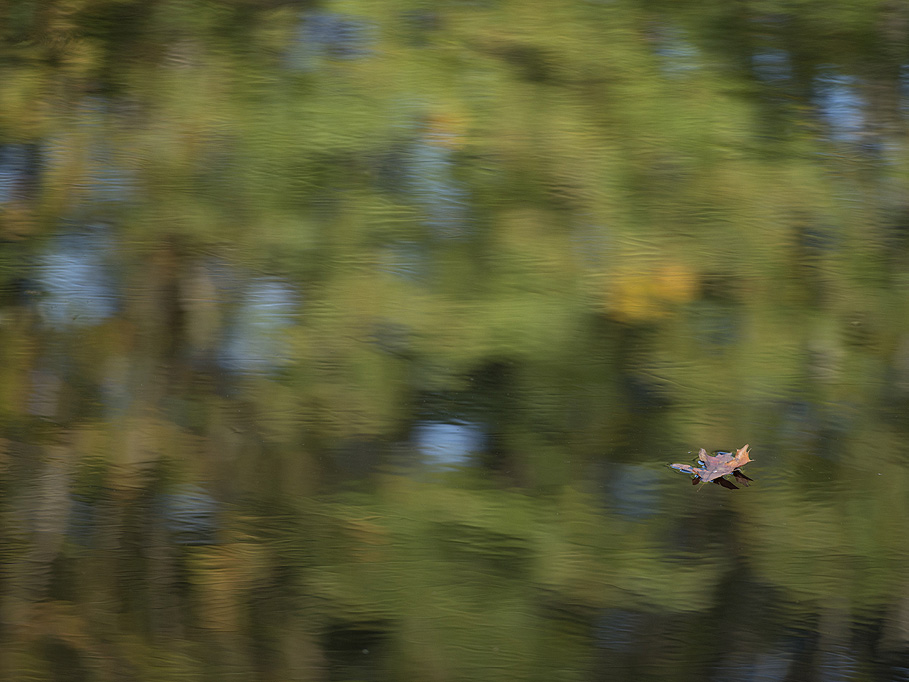 Photographs by Peter Vanderwarker