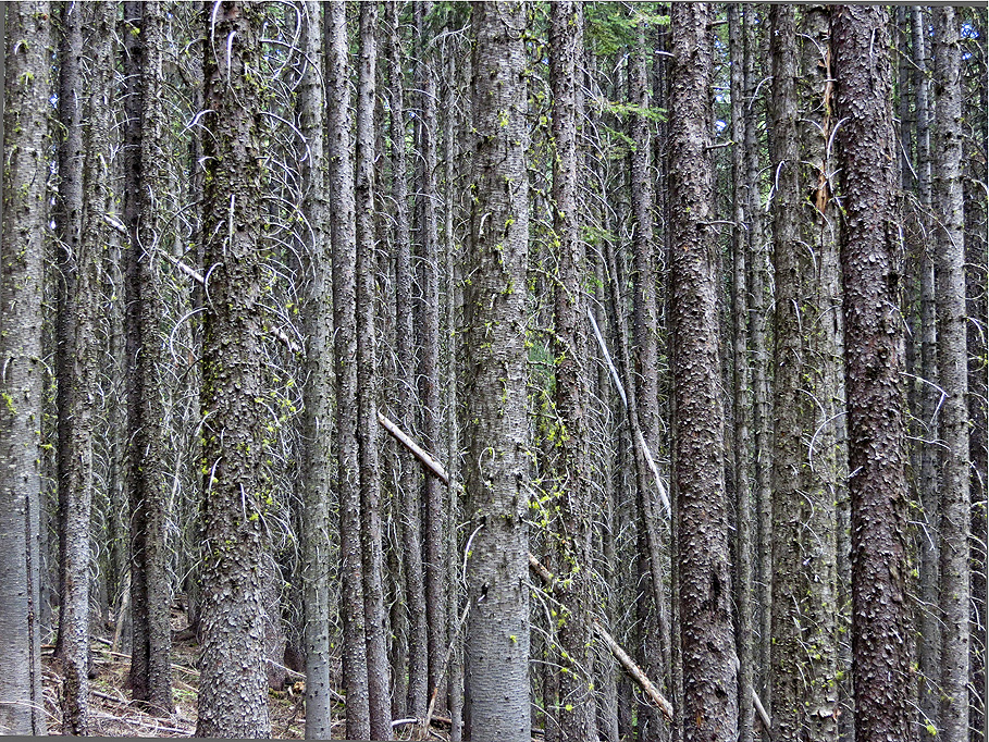 Photographs by Peter Vanderwarker