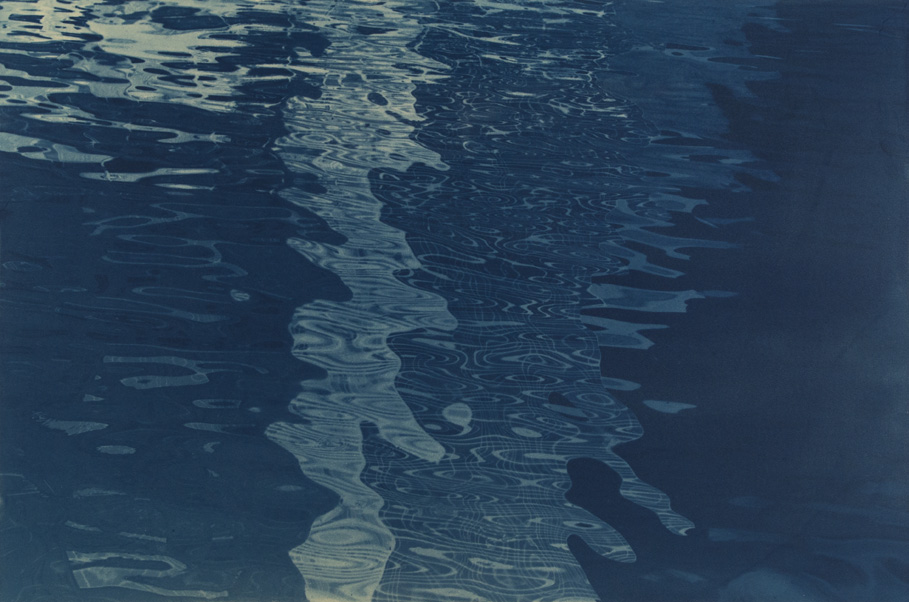 Cyanotype by Jaclyn Kain