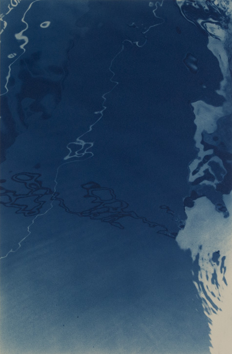 Cyanotype by Jaclyn Kain