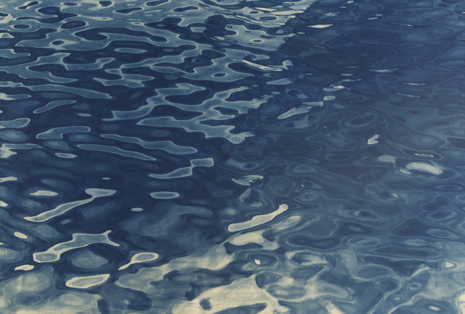 Cyanotype by Jaclyn Kain