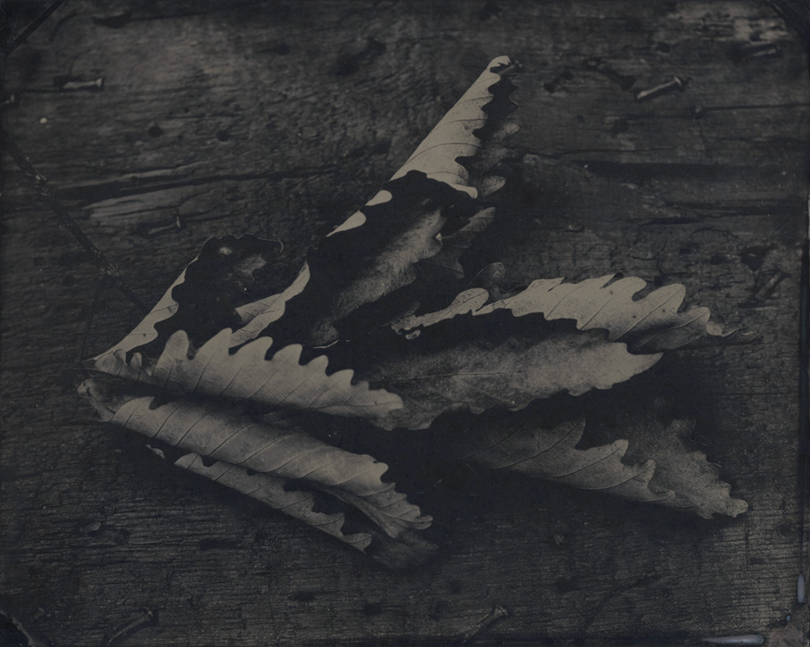 Tintype by David Prifti