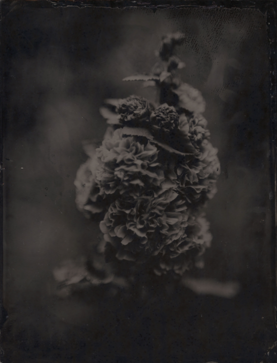 Tintype by David Prifti