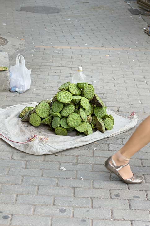 Photograph by Lana Z Caplan
