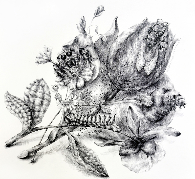 Drawing by Joo Lee Kang