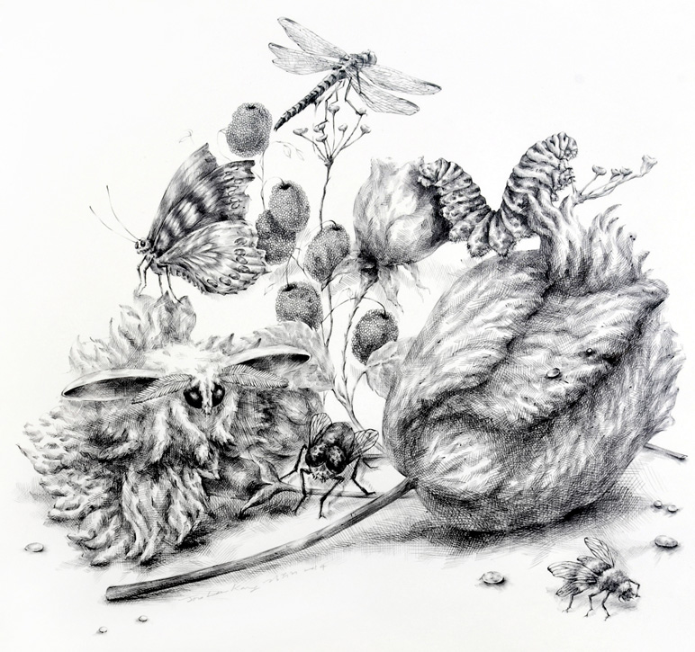 Drawing by Joo Lee Kang
