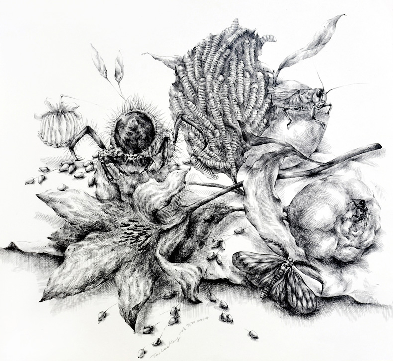 Drawing by Joo Lee Kang