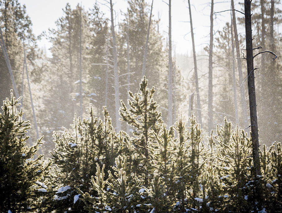 Photograph by Peter Vanderwarker