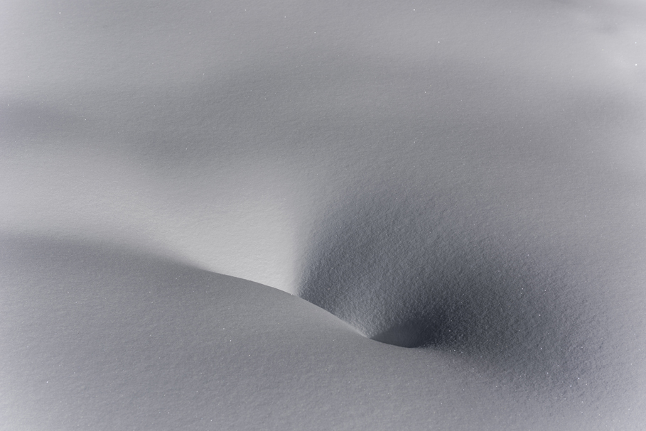 Photograph by Peter Vanderwarker