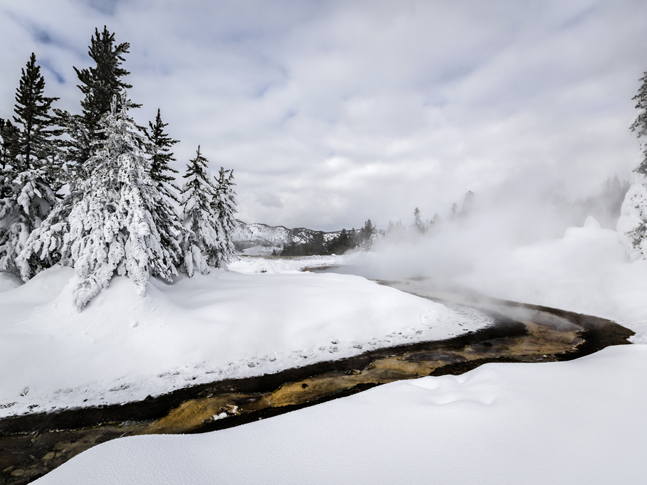 Photograph by Peter Vanderwarker