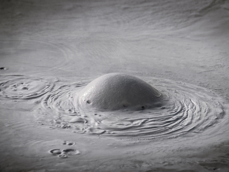 Photograph by Peter Vanderwarker
