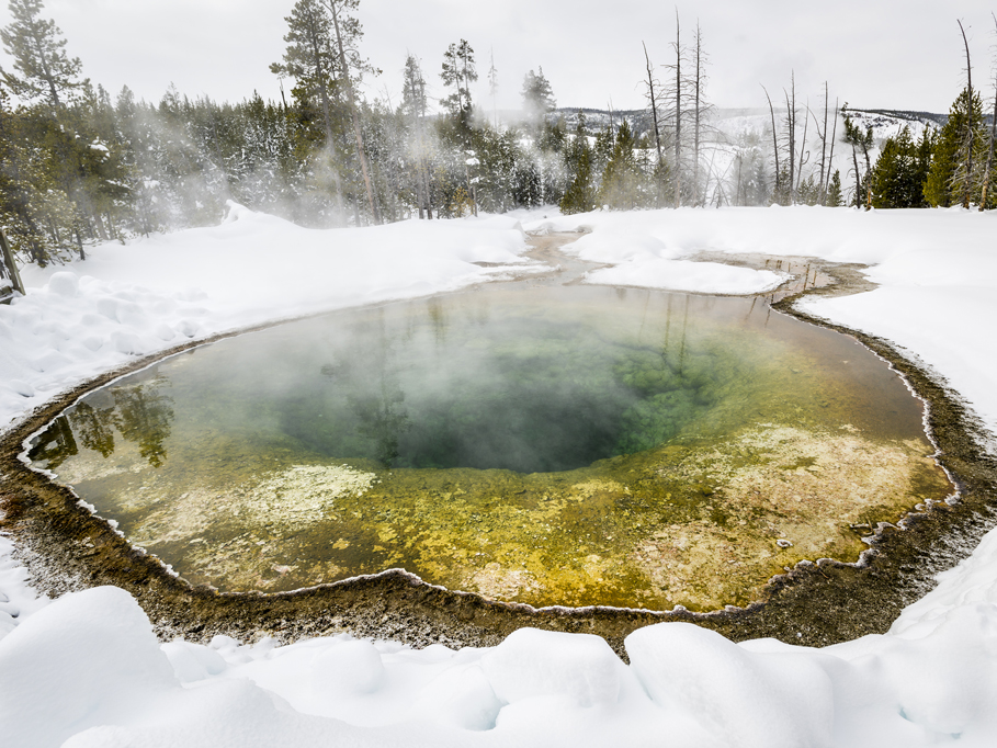 Photograph by Peter Vanderwarker