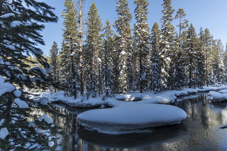 Photograph by Peter Vanderwarker