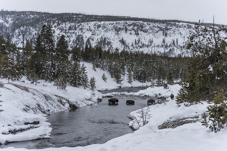 Photograph by Peter Vanderwarker
