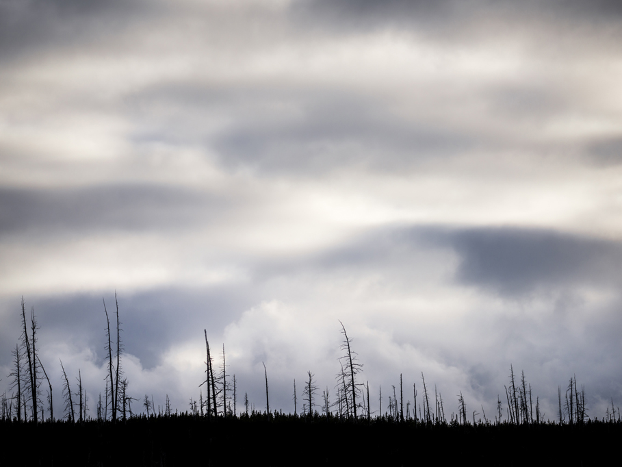 Photograph by Peter Vanderwarker
