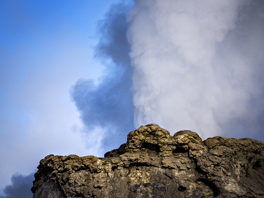 Photograph by Peter Vanderwarker