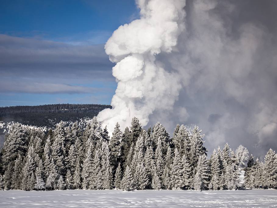 Photograph by Peter Vanderwarker