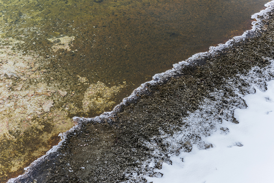 Photograph by Peter Vanderwarker