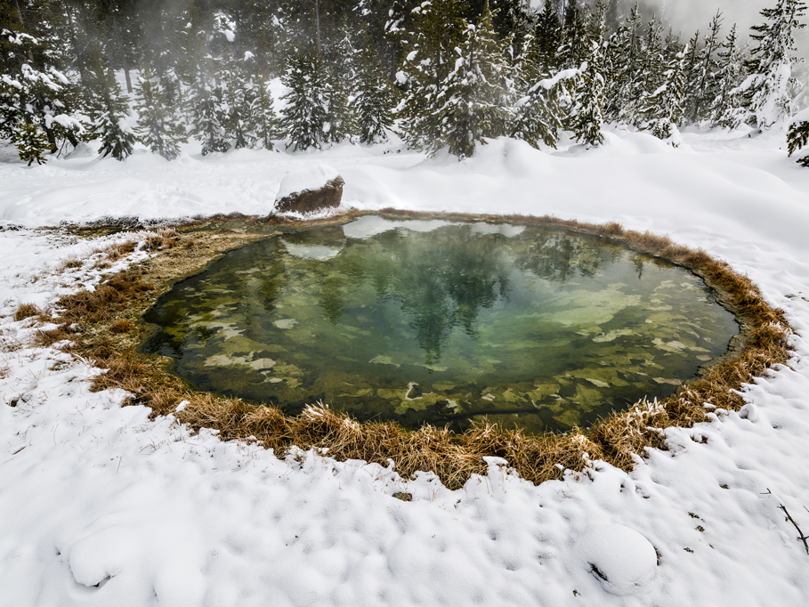 Photograph by Peter Vanderwarker