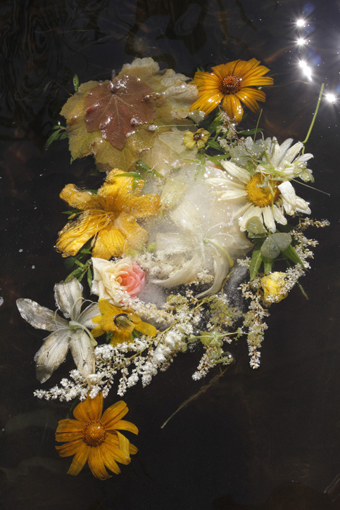 Photograph by Mary Kocol
