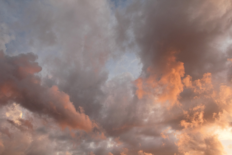 Photograph by Mary Kocol