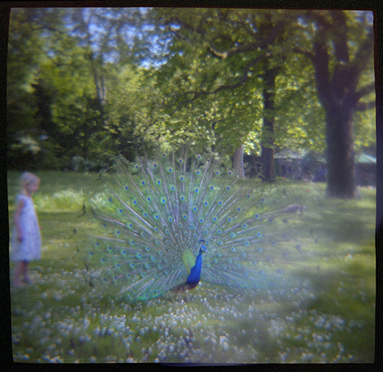 Photograph by Mary Kocol