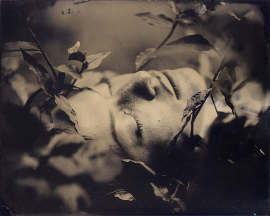 Photograph by David Prifti