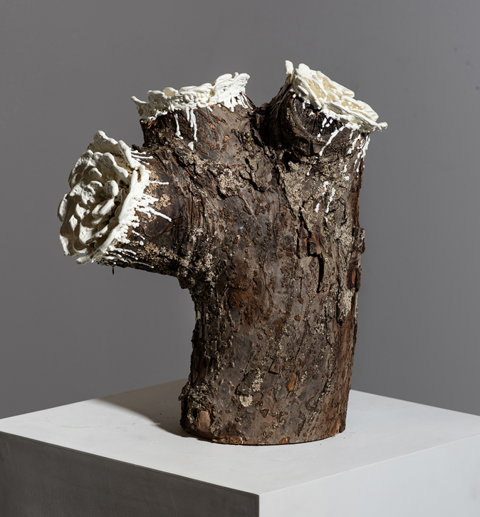 Work by Martin Kline