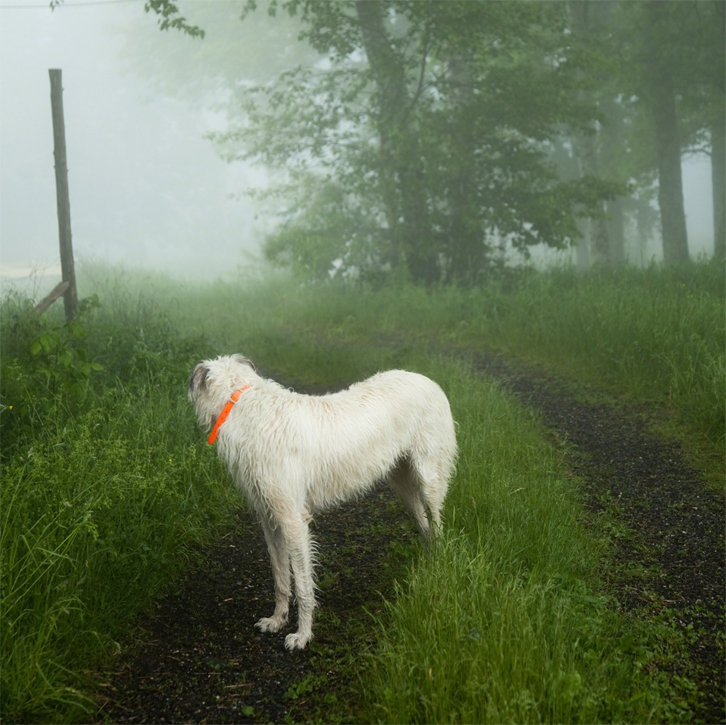 Photograph by Cig Harvey
