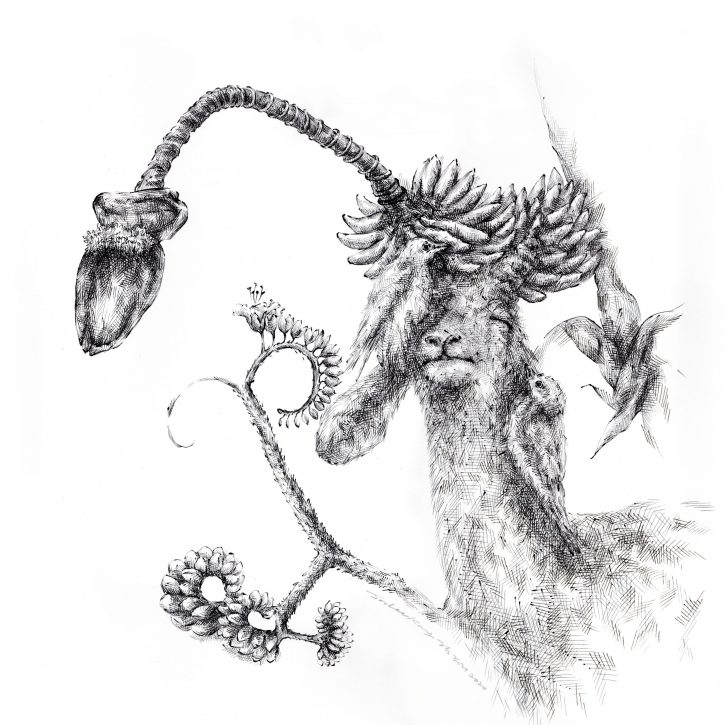 Drawing by JooLee Kang