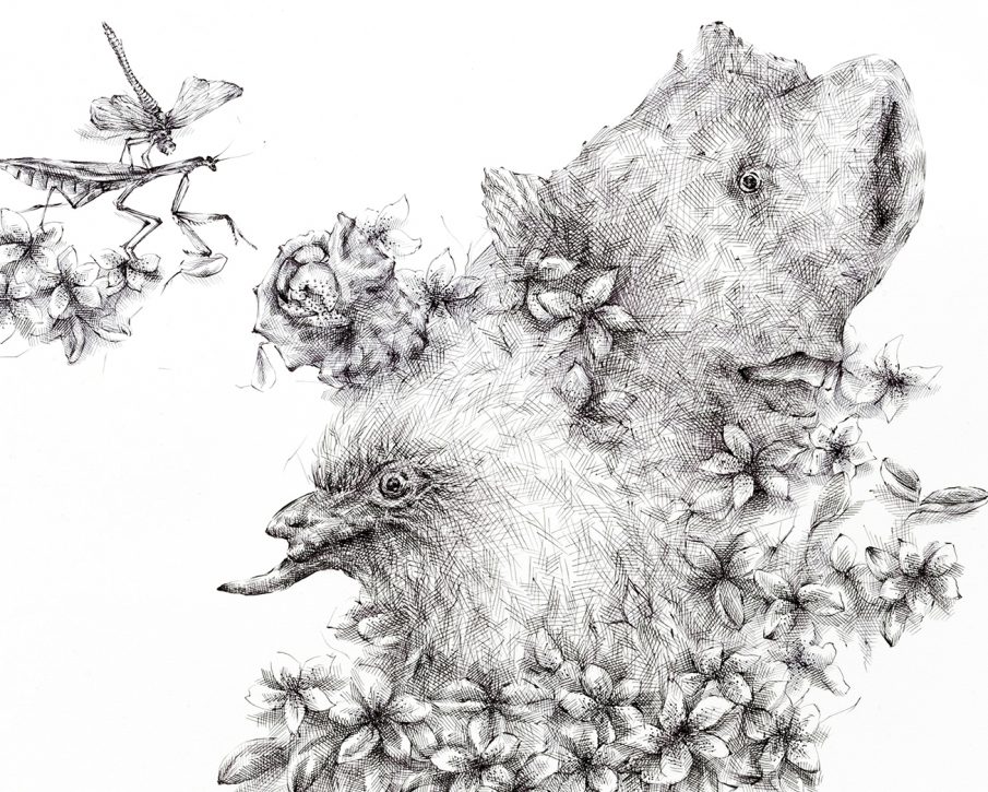 Drawing by JooLee Kang