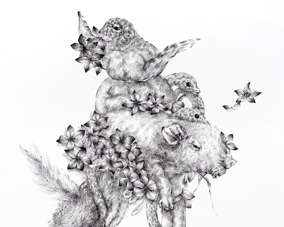 Drawing by JooLee Kang
