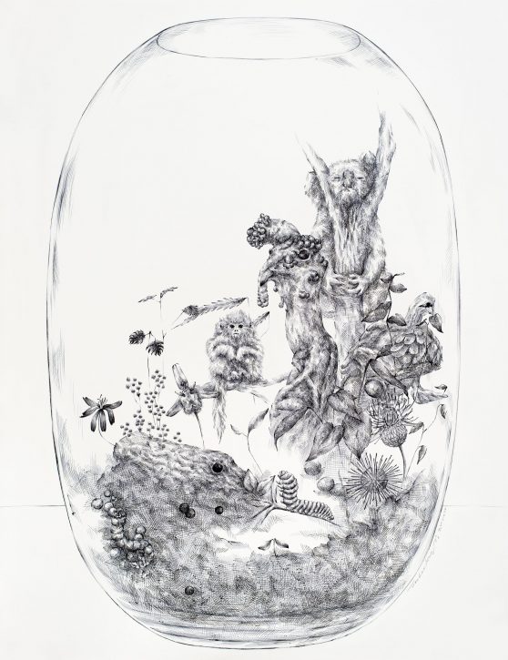 Drawing by JooLee Kang