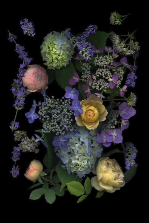 photograph by Mary Kocol