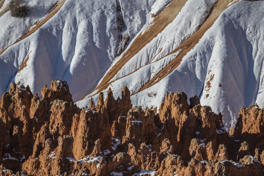 Photograph by Peter Vanderwarker