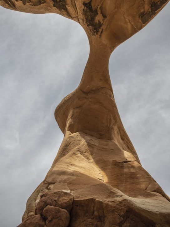Photograph by Peter Vanderwarker
