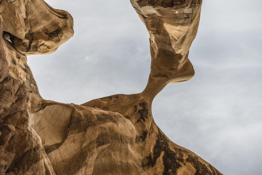 Photograph by Peter Vanderwarker