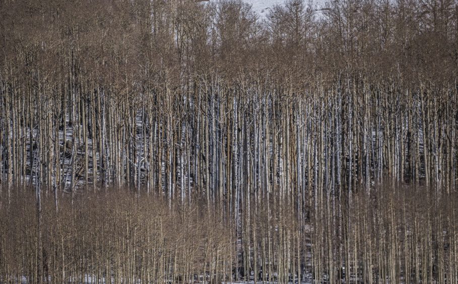 Photograph by Peter Vanderwarker