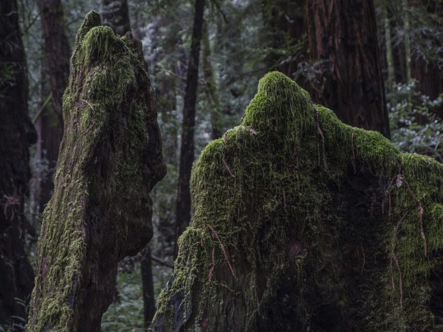 Photograph by Peter Vanderwarker