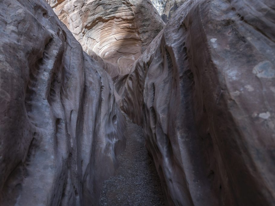 Photograph by Peter Vanderwarker