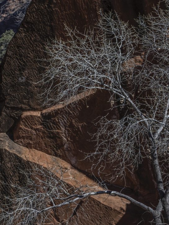 Photograph by Peter Vanderwarker